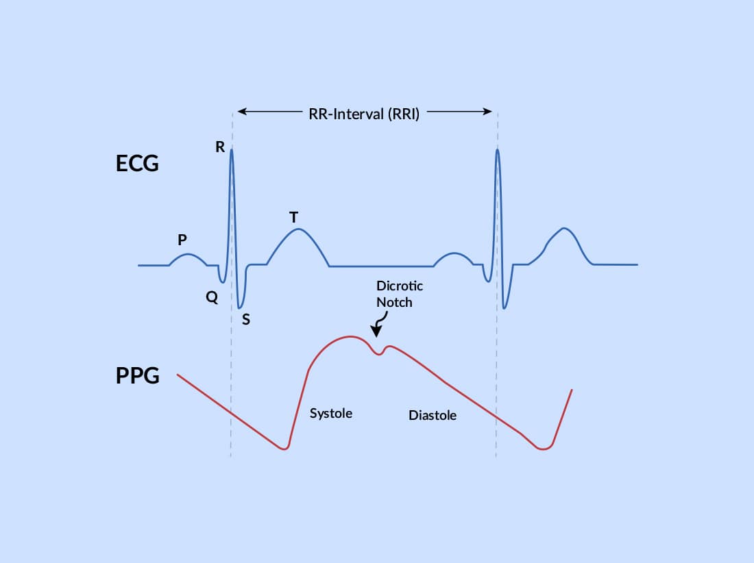 PPG and ECG